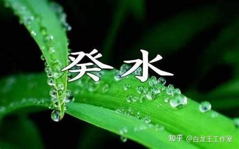 葵水命格|癸水命